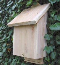 Bat House 